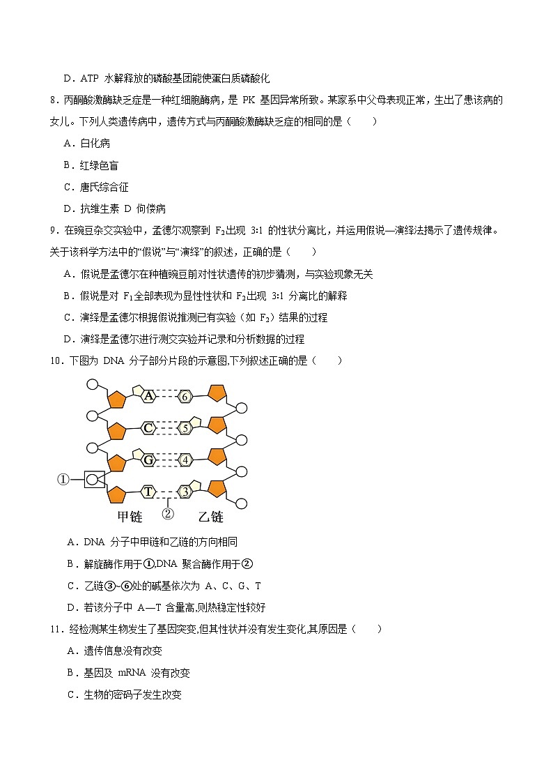 辽宁省部分学校2025-2026学年高二上学期9月开学联考生物试卷（Word版附答案）第3页