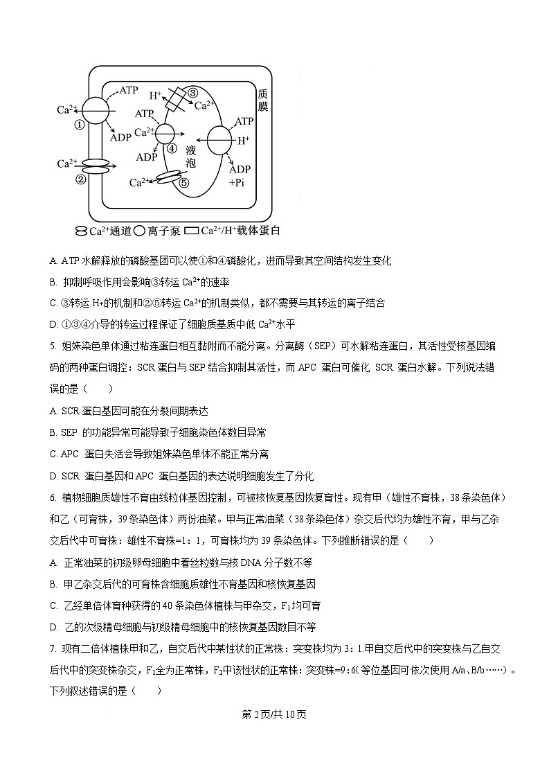 山东省泰安肥城市2025-2026学年高三上学期开学学情诊断 生物第2页