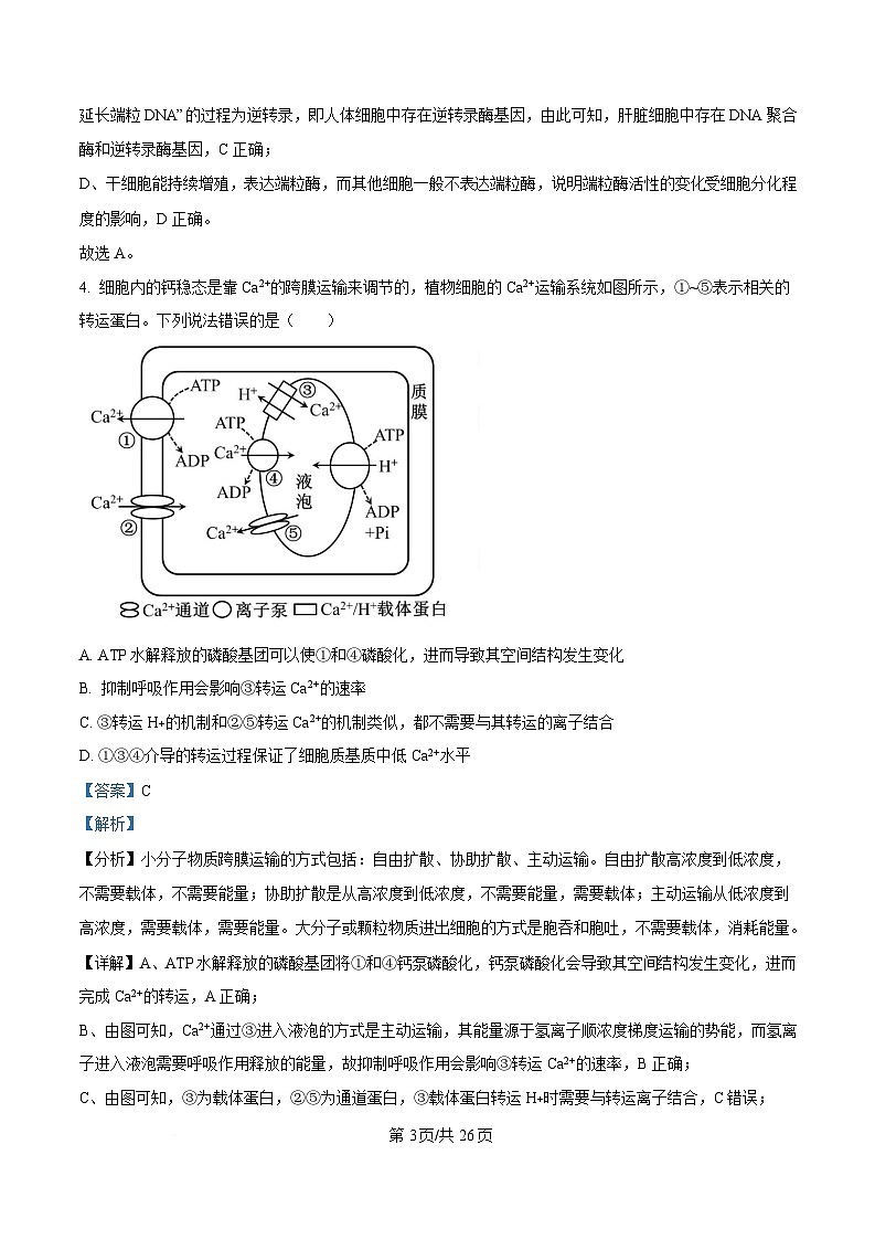 山东省泰安肥城市2025-2026学年高三上学期开学学情诊断 生物答案第3页