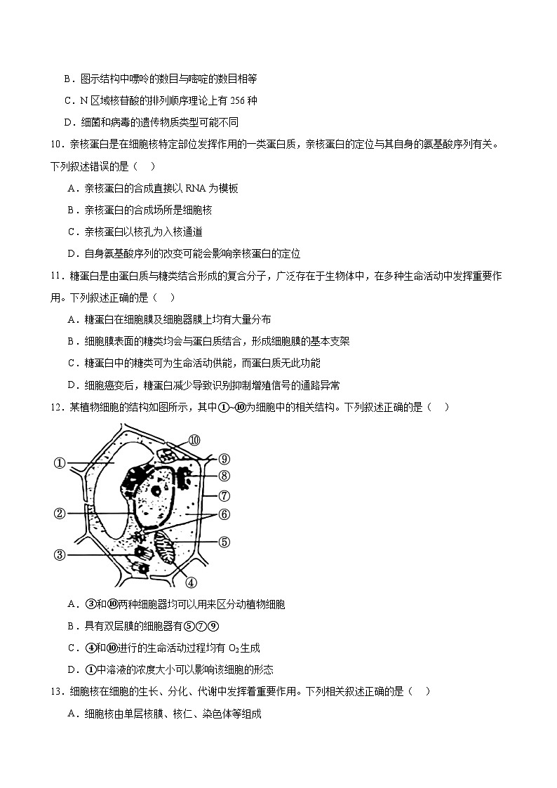 陕西省部分学校2026届高三上学期9月联考生物试卷（Word版附答案）第3页