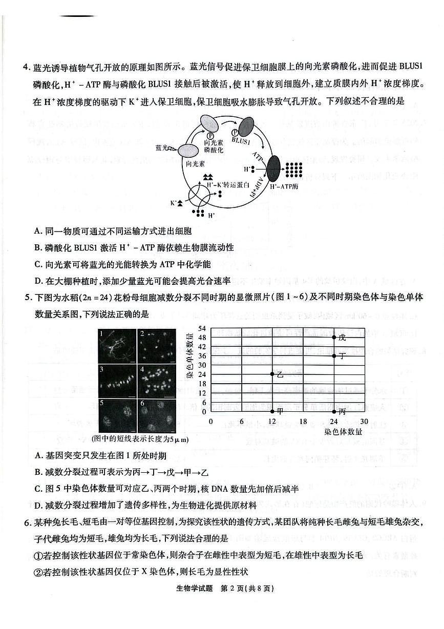 安徽省六校教育研究会2026届高三年级入学素质测试+生物试卷（含答案）第2页