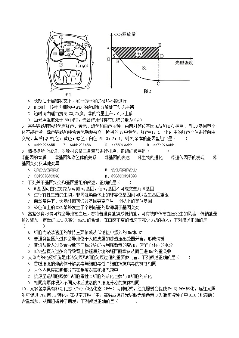四川省部分高中2026届高三上学期第一次联合质检考试生物试题（Word版附答案）第2页