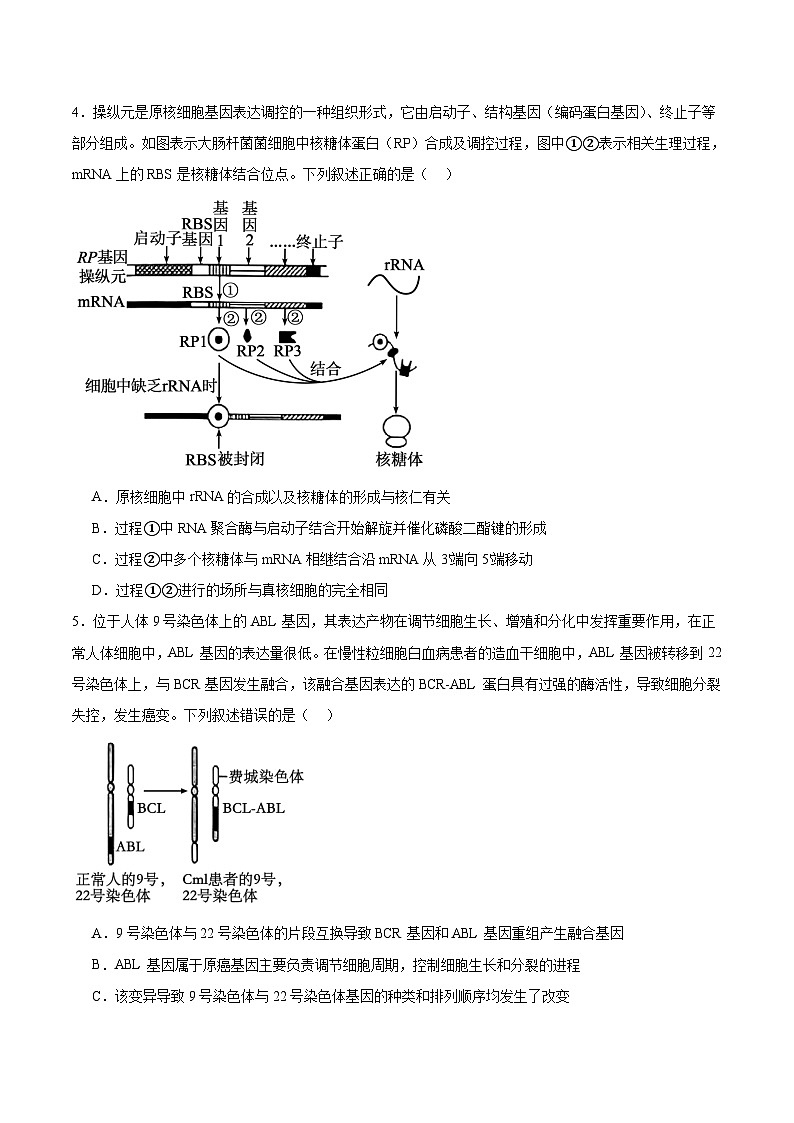 河南省周口市等2地2026届高三上学期开学检测生物试题（Word版附答案）第2页