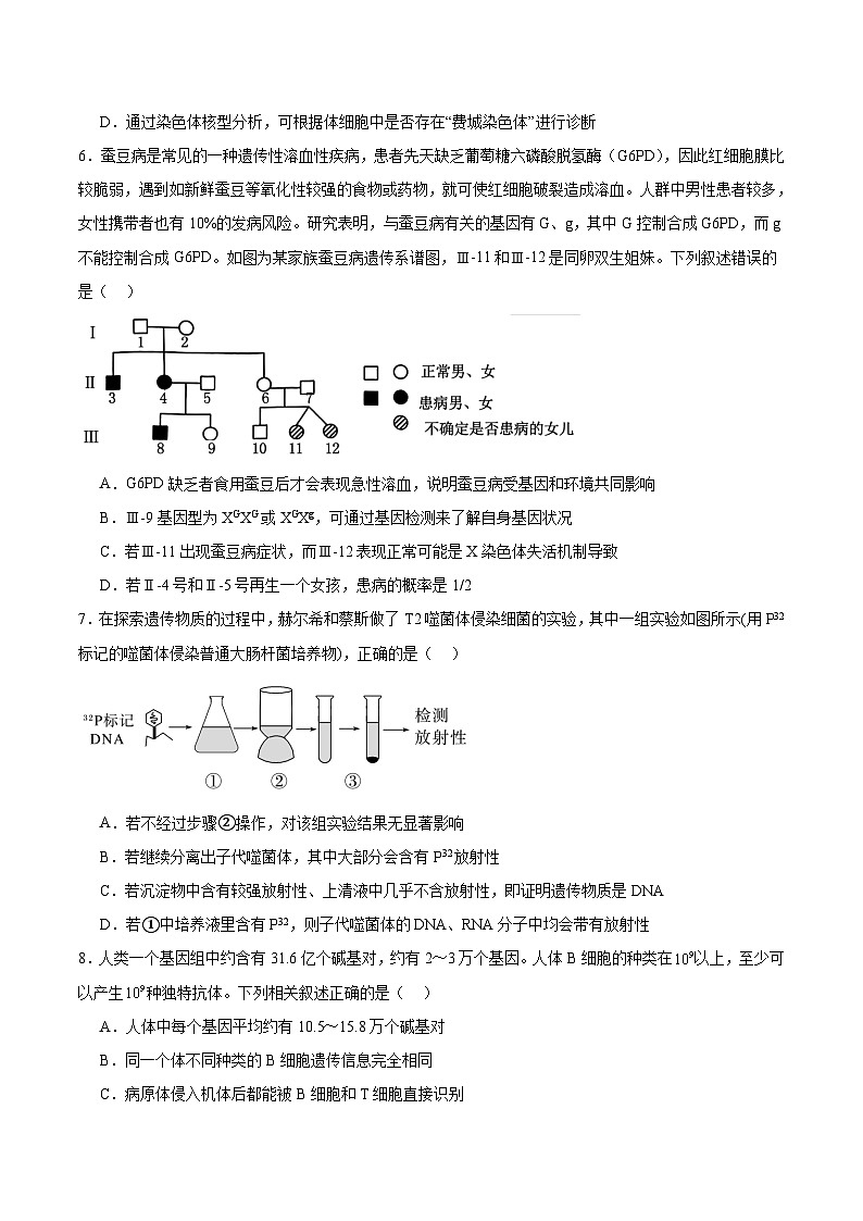 河南省周口市等2地2026届高三上学期开学检测生物试题（Word版附答案）第3页