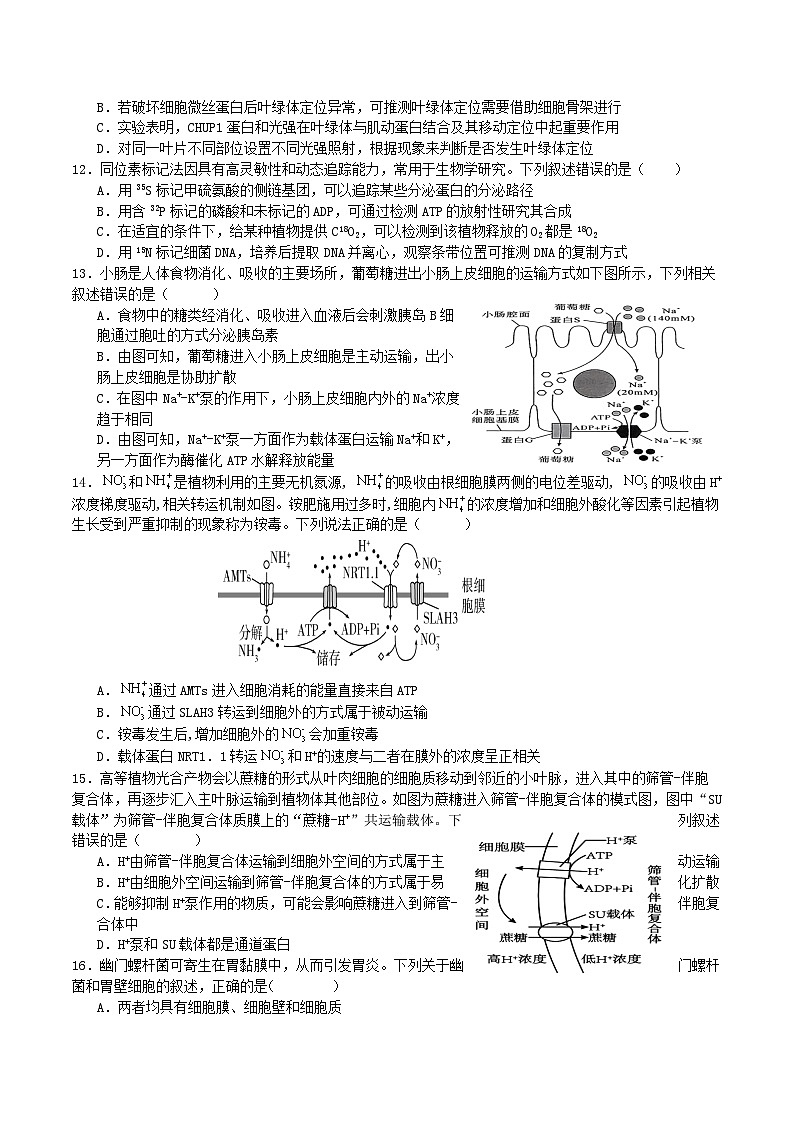 内蒙古巴彦淖尔市第一中学2026届高三上学期第一次诊断考试生物试题（Word版附答案）第3页