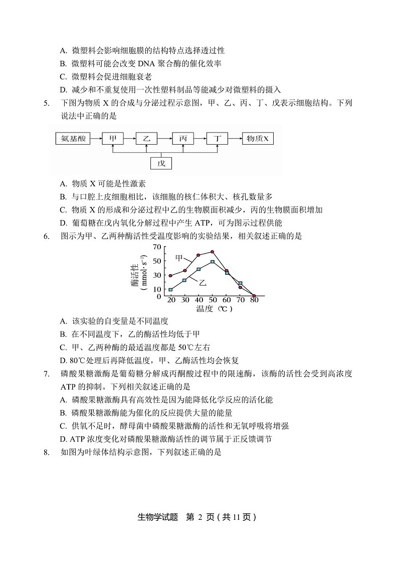 2025届黑龙江省龙东联盟高三下学期11月考-生物试题（含答案）第2页