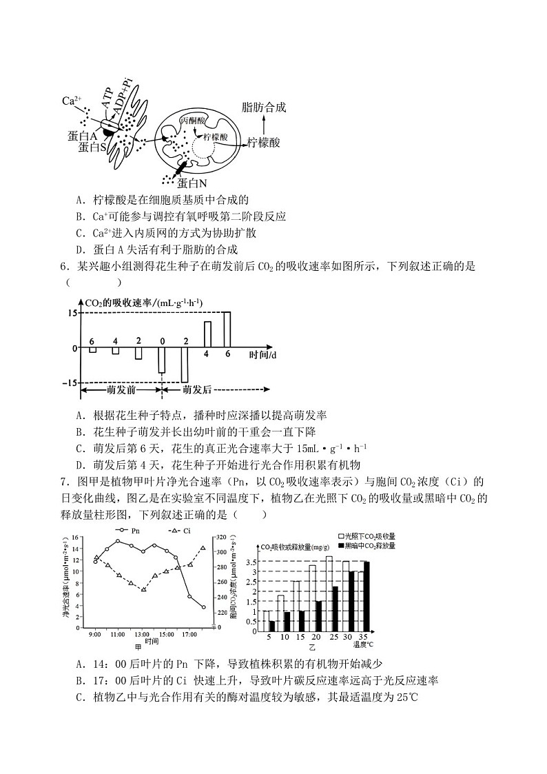 2025届黑龙江省牡丹江市高三下学期11月期中考-生物试题（含答案）第2页
