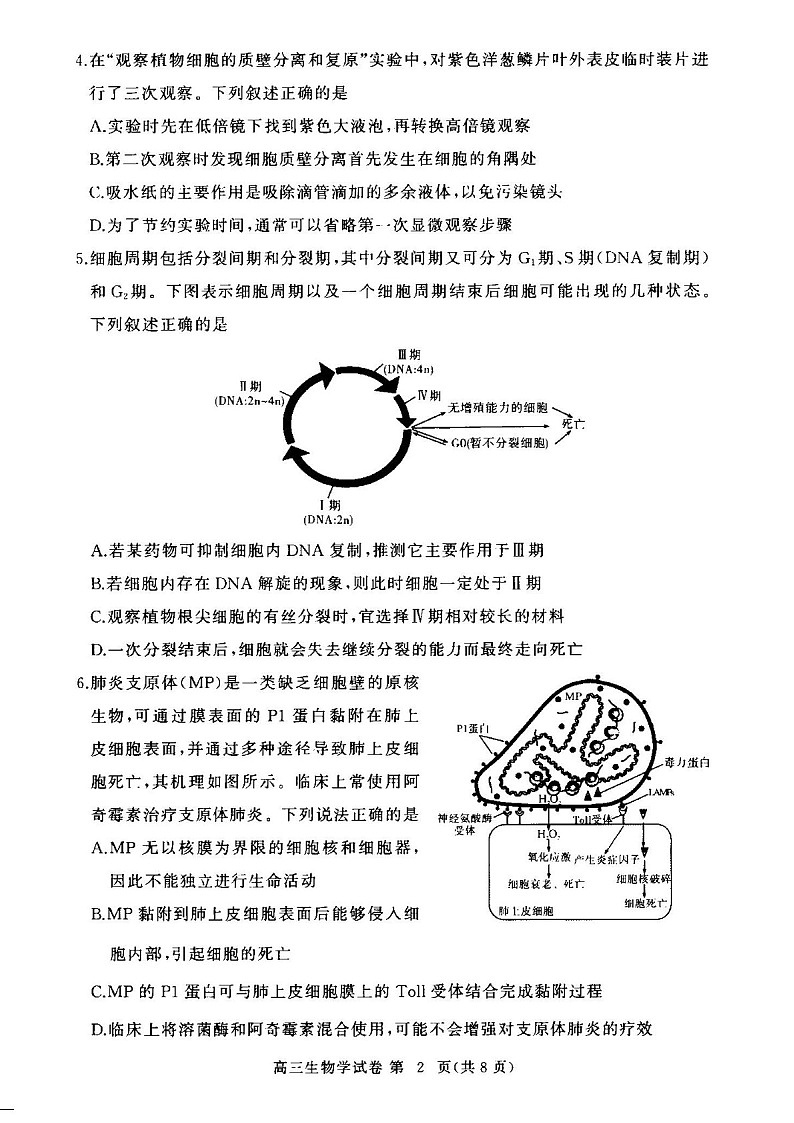 2025届湖北省鄂东南协作体高三下学期11月阶段考-生物试题（含答案）第2页