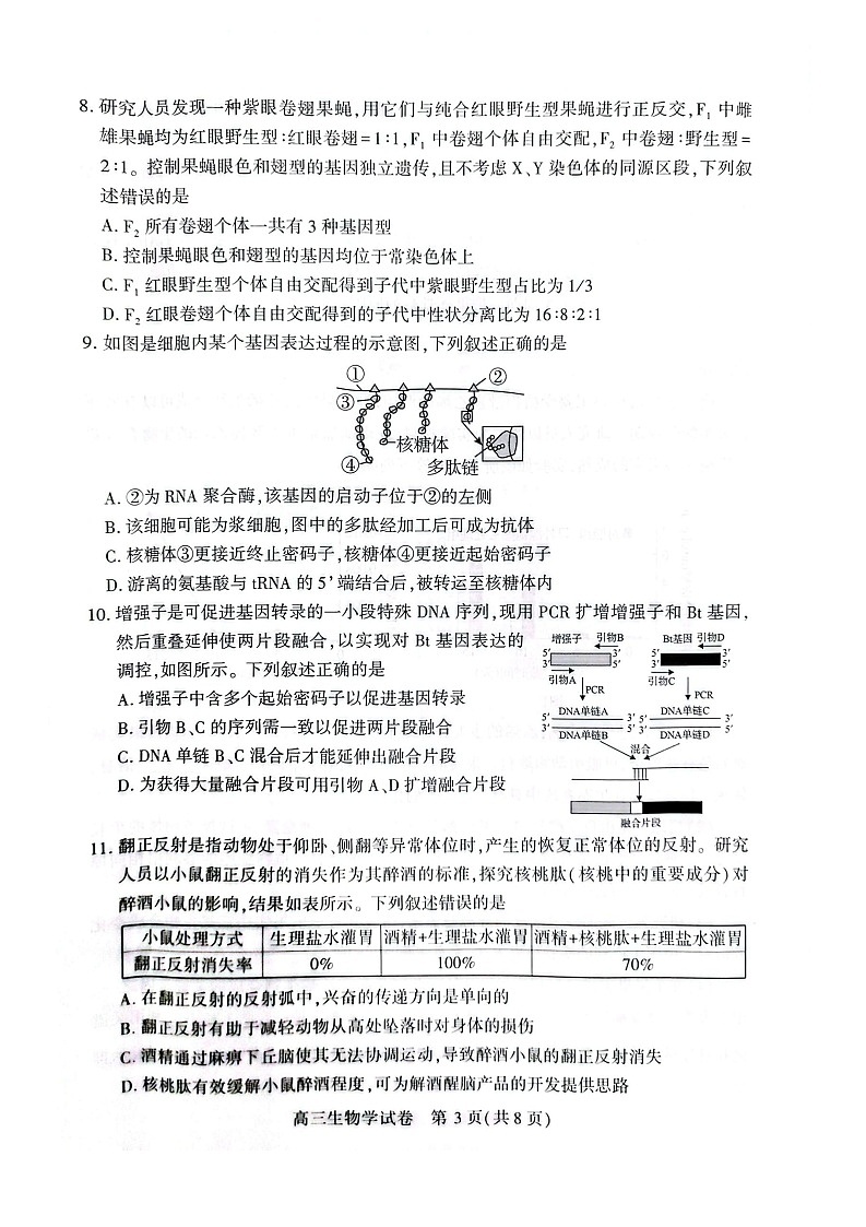 湖北省荆州市2026届高三上学期9月月考考试生物试卷第3页