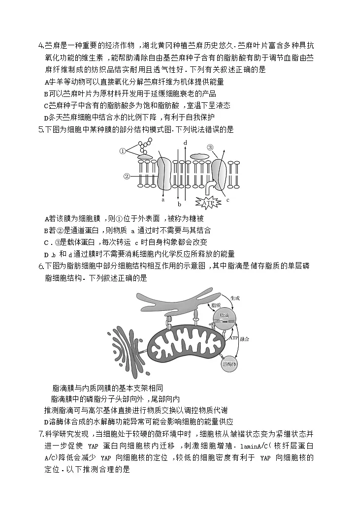 湖北省黄冈市2025-2026学年高三上学期9月月考考试生物试卷第2页