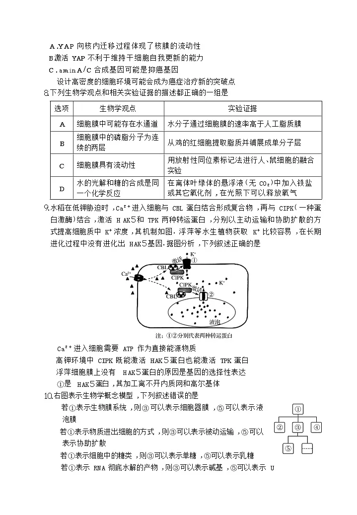 湖北省黄冈市2025-2026学年高三上学期9月月考考试生物试卷第3页
