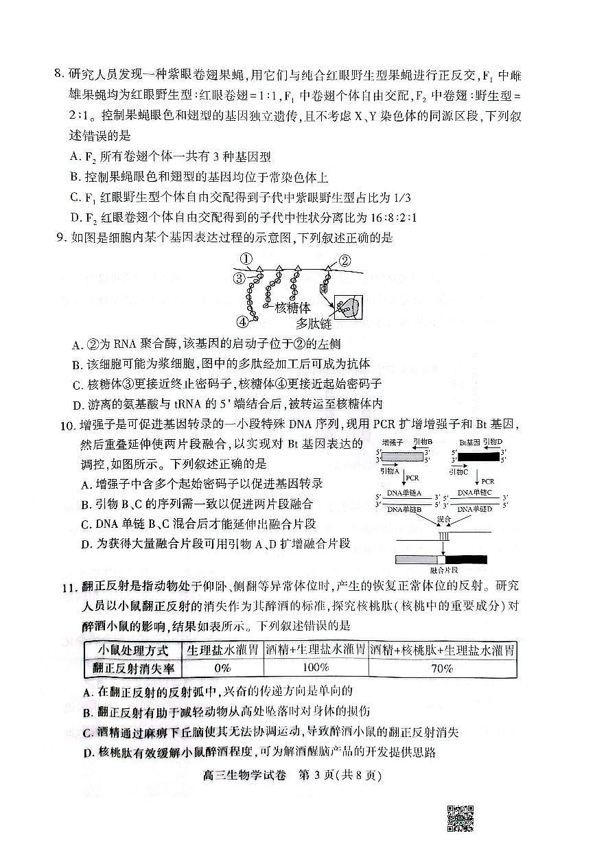 湖北省荆州市2026届高三上学期9月起点考生物试题无答案第3页