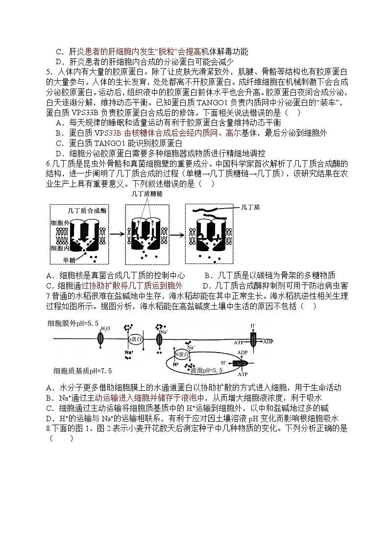 江西省丰城中学2024-2025学年高一下学期开学考试生物试卷第2页