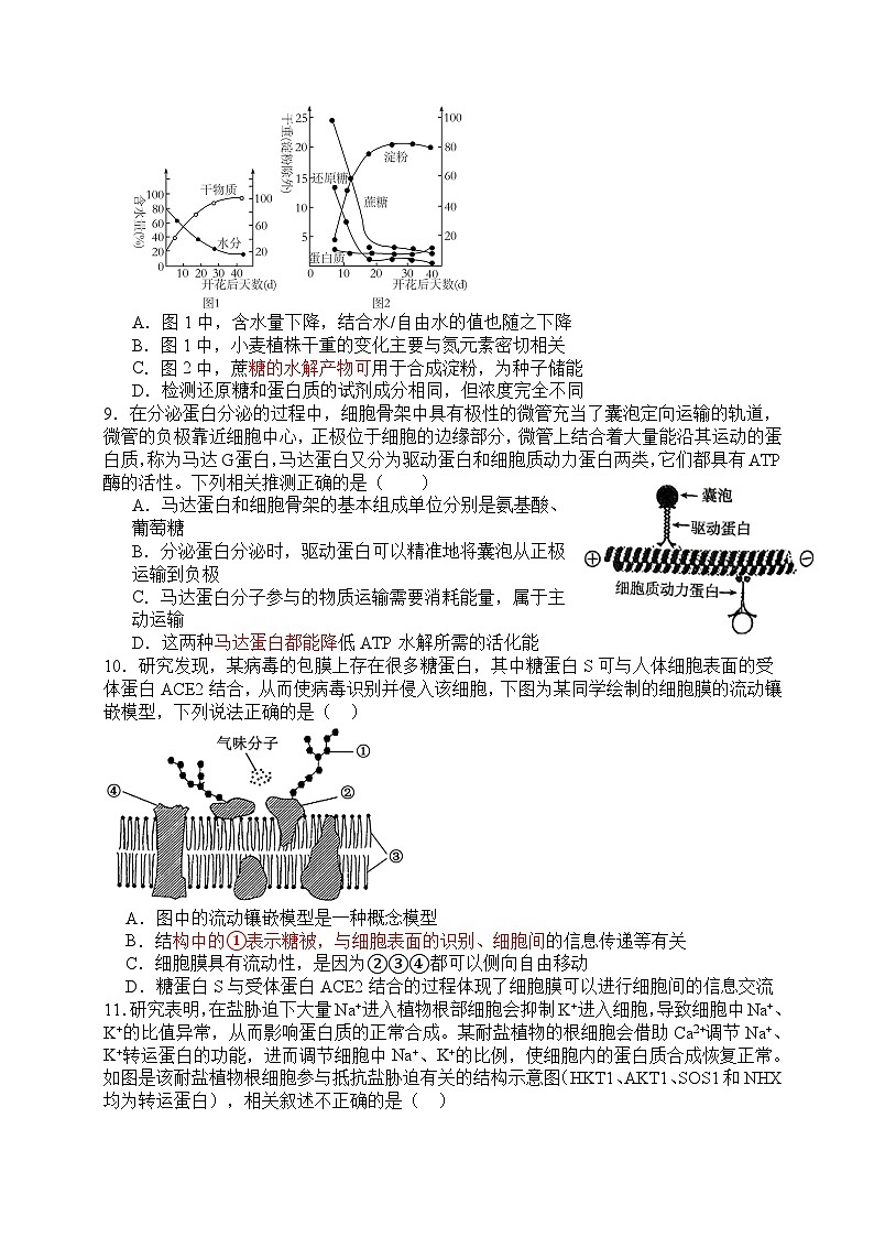 江西省丰城中学2024-2025学年高一下学期开学考试生物试卷第3页