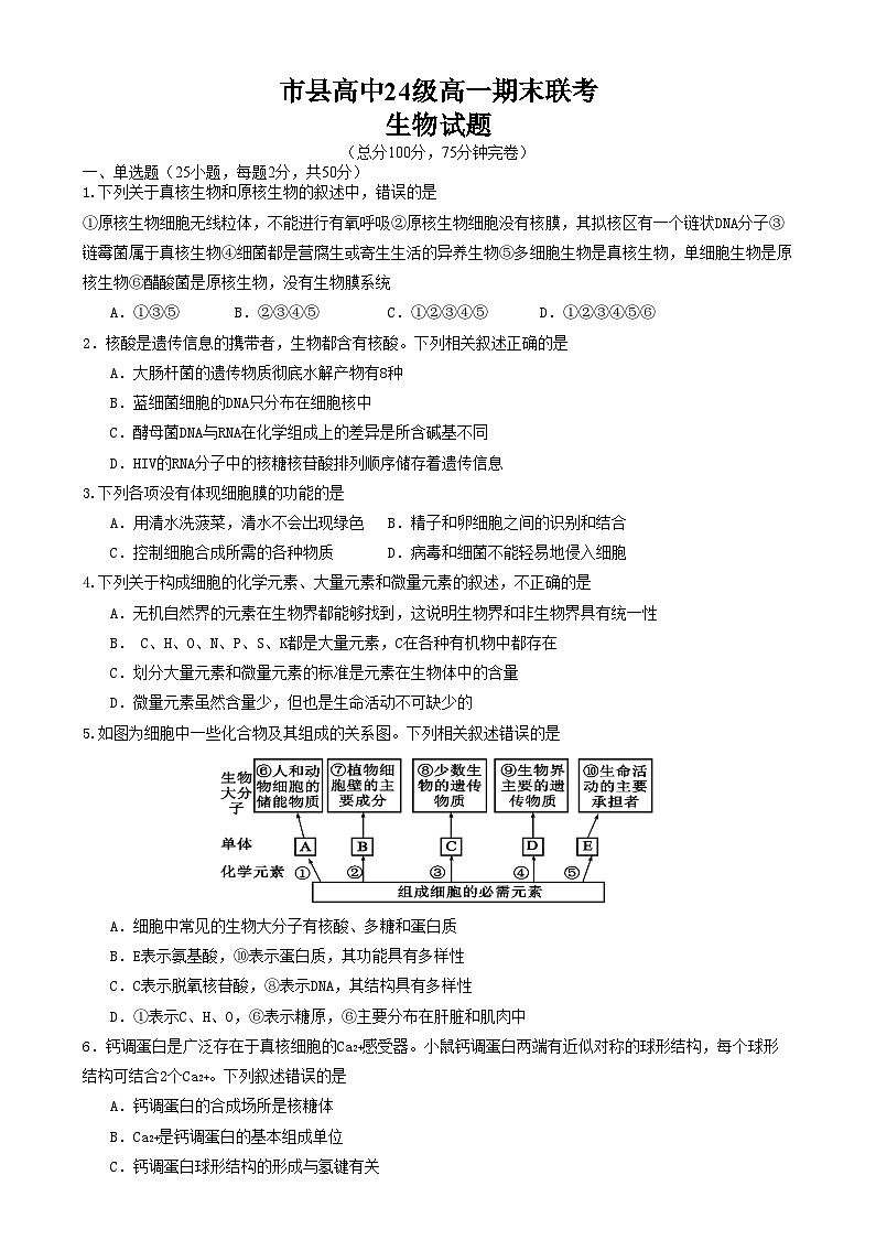 四川省眉山市2024-2025学年高一上学期1月期末联考试题生物试卷第1页