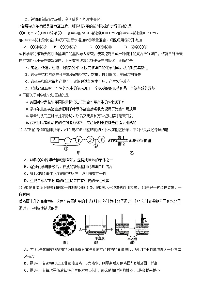 四川省眉山市2024-2025学年高一上学期1月期末联考试题生物试卷第2页