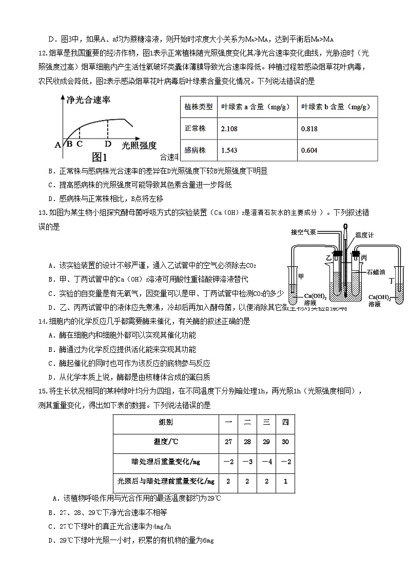 四川省眉山市2024-2025学年高一上学期1月期末联考试题生物试卷第3页