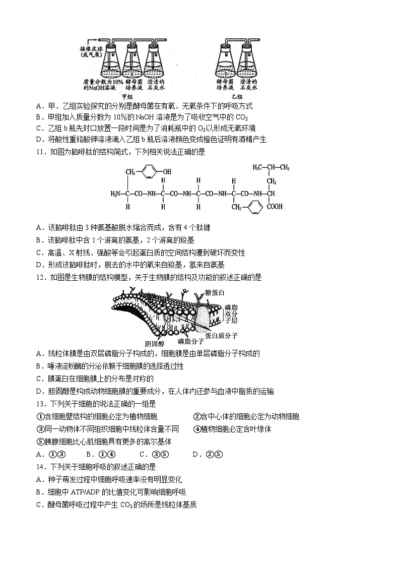 四川省南充市嘉陵第一中学2024-2025学年高一上学期12月月考生物试题第3页