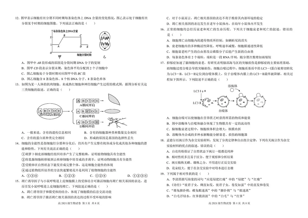 四川省南充市高级中学2024-2025学年高一下学期3月月考试题生物试卷+答案第2页