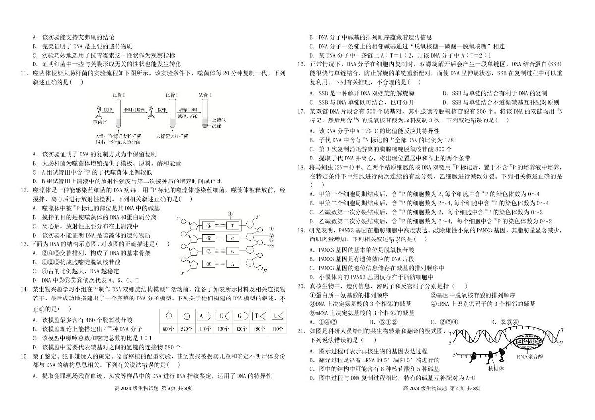 四川省南充市高级中学2024-2025学年高一下学期5月月考试题生物试卷+答案第2页