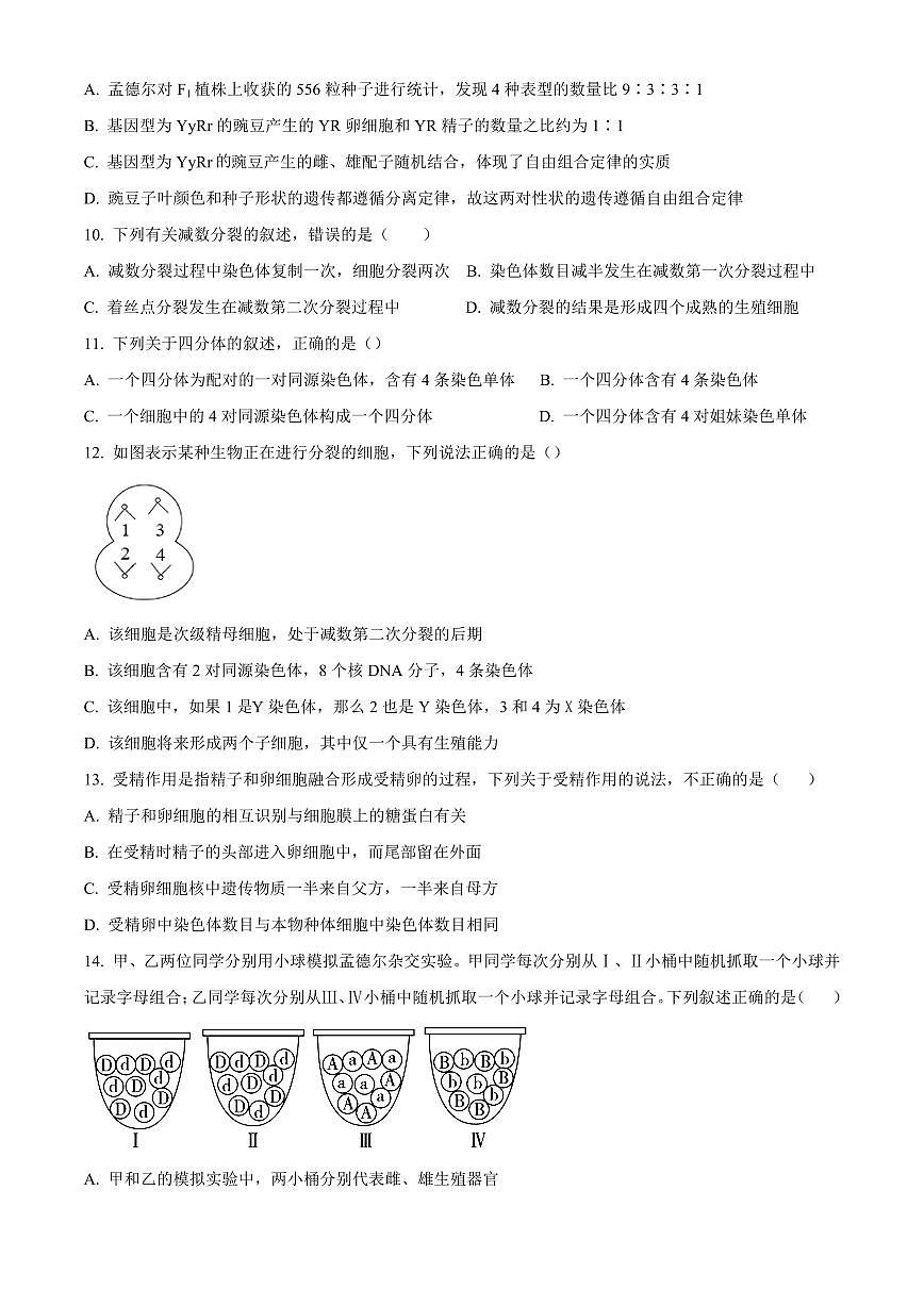 四川省内江市第一中学2024-2025学年高一下学期3月月考生物学试题（含答案）第3页