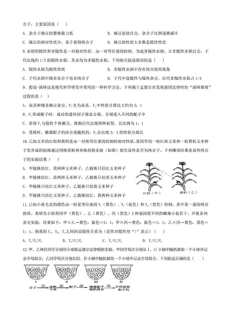 四川省内江市威远中学校2024-2025学年高一下学期期中考试生物试题（含答案）第2页