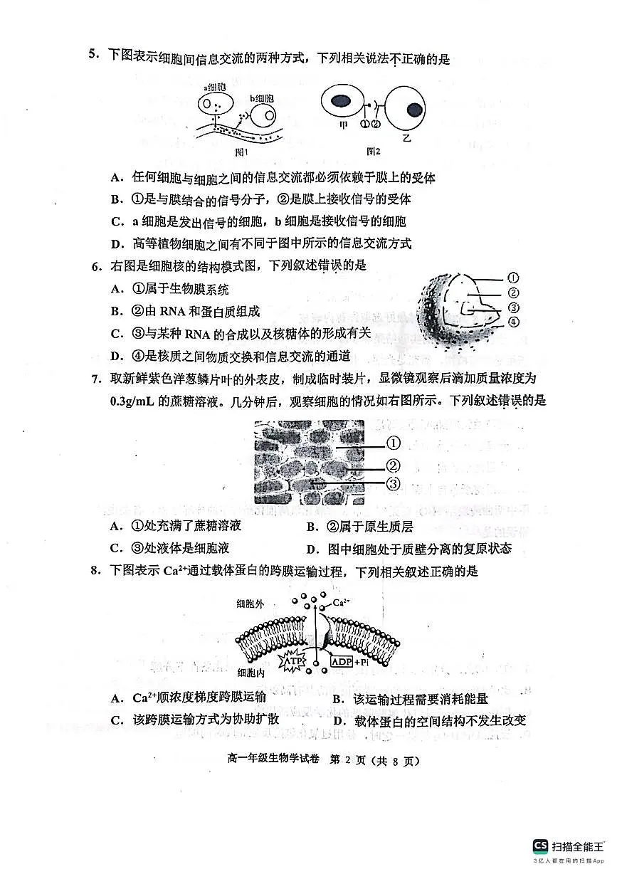 天津市河西区2024-2025学年高一上学期1月期末考试生物试卷+答案第2页