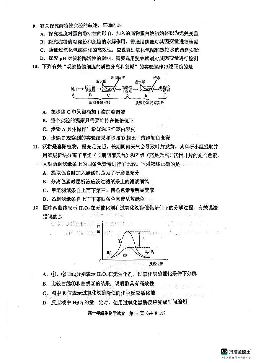 天津市河西区2024-2025学年高一上学期1月期末考试生物试卷+答案第3页