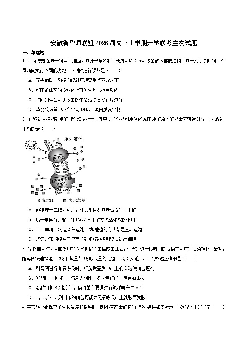 2026安徽省华师联盟高三上学期9月开学联考试题生物含答案第1页
