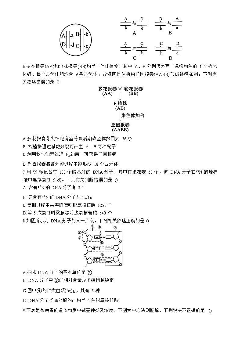 黑龙江省哈尔滨市第九中学校2025-2026学年高二上学期9月月考生物试卷第2页