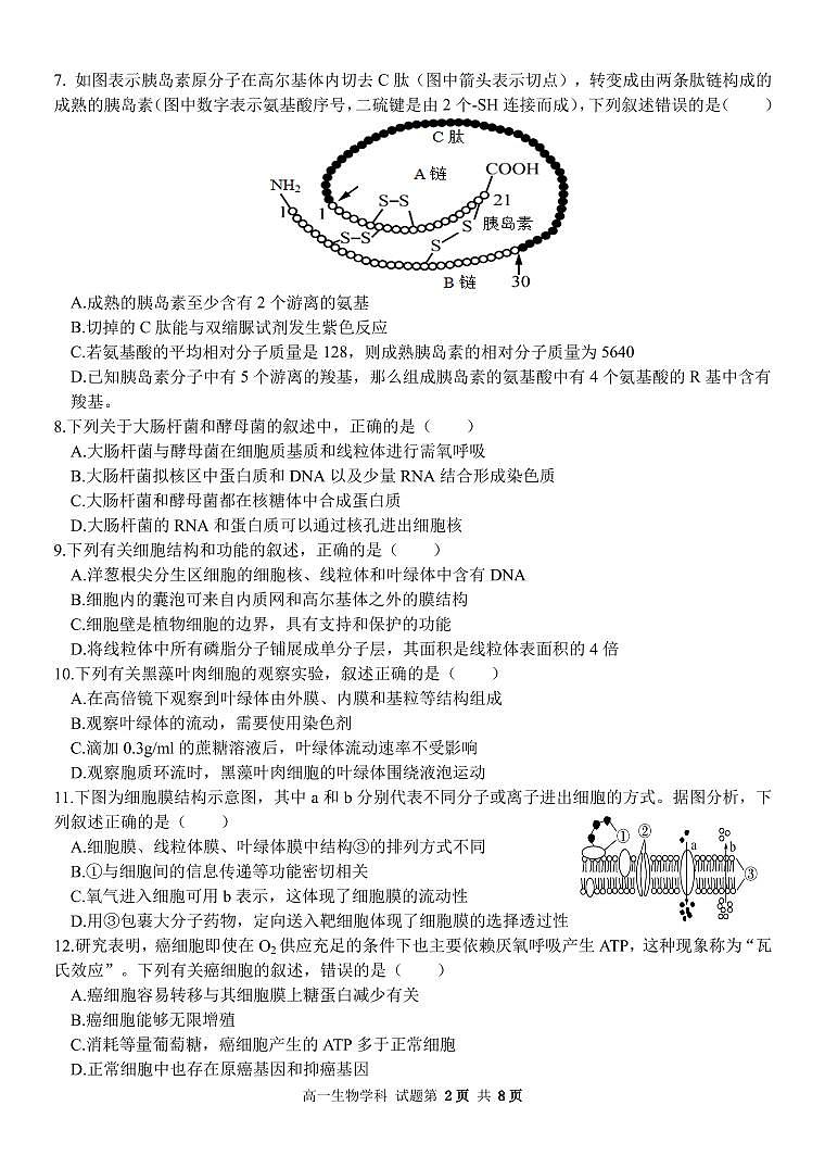 浙江省金华市卓越联盟高一12月阶段性联考生物试卷+答案第2页
