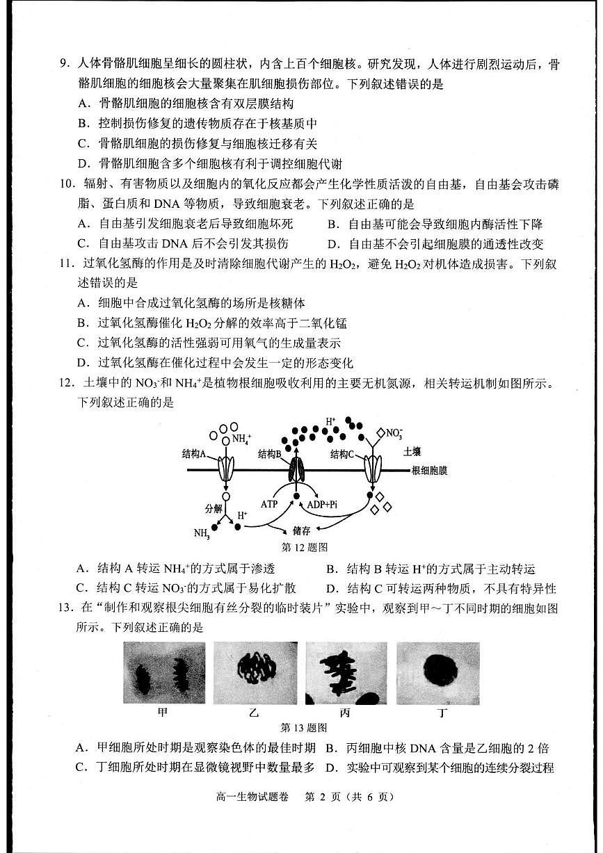 浙江省杭州市2024-2025学年高一上学期1月期末生物试题+答案第2页