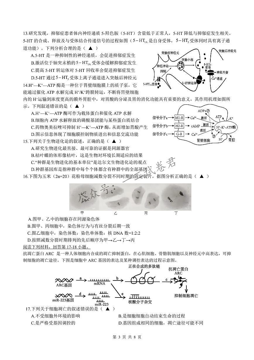 浙江省余姚中学2024-2025学年高二下学期3月月考试题生物试卷+答案第3页