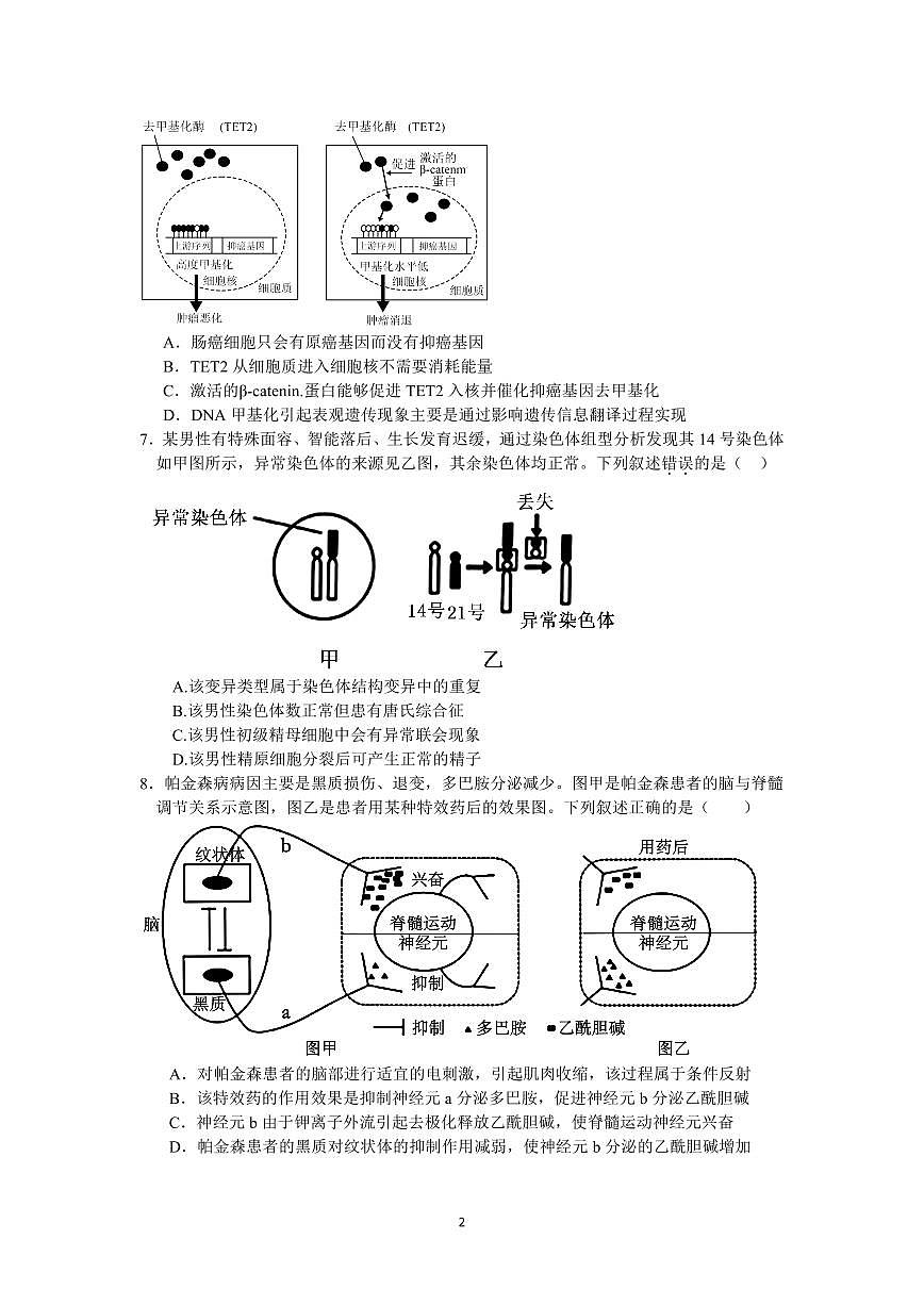 浙江省余姚中学2024-2025学年高二下学期期中考试生物试卷+答案第2页