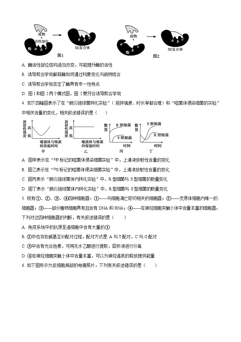 河南省南阳市宛城区等2地2025-2026学年高二上学期开学考试生物试卷第2页