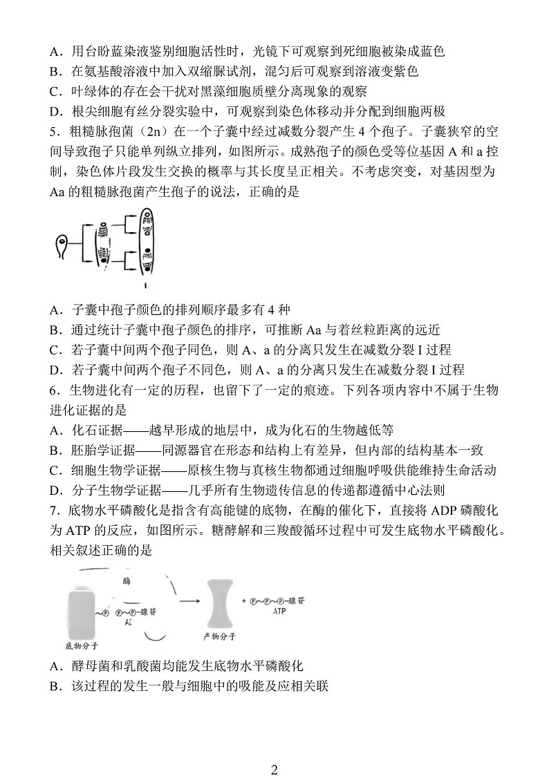 2025届江苏省南通市高三下学期11月期中考-生物试卷（学生版）第2页