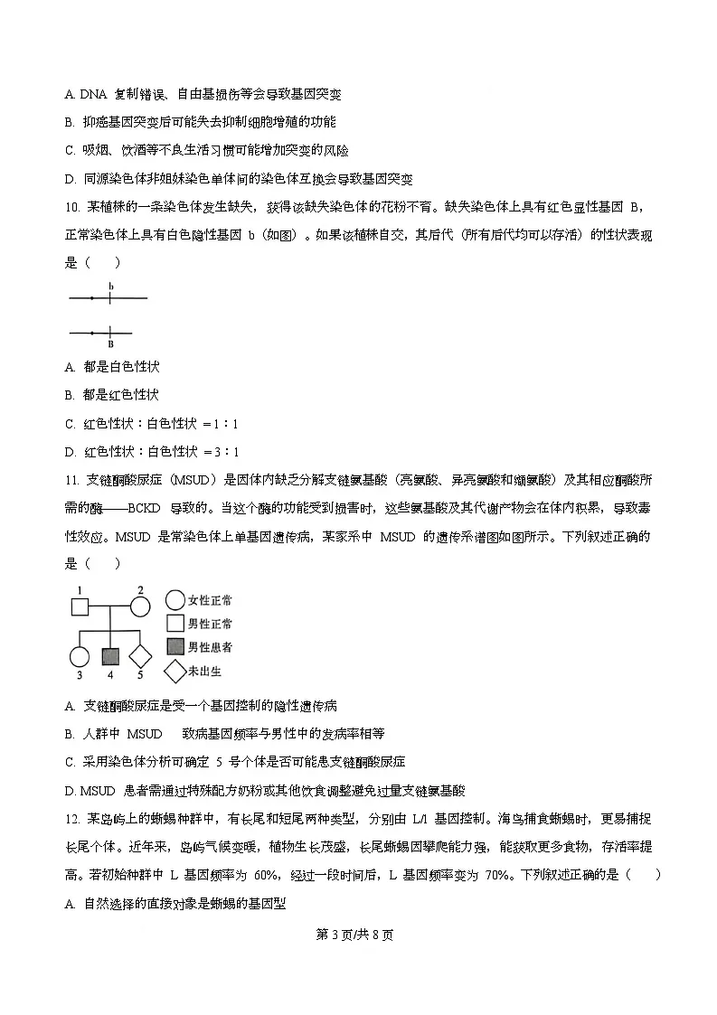 湖南省长沙市名校联考联合体2025-2026学年高二上学期第一次联考（暨入学模拟考试）生物学试卷（原卷版）第3页