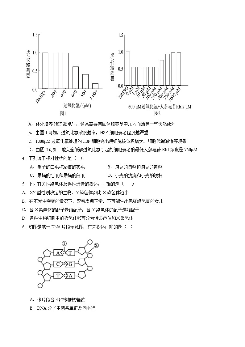 2026石家庄一中高二上学期开学考试生物含答案第2页