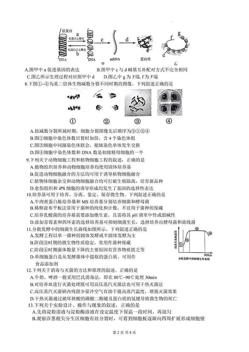 2025届江苏省徐州市高三下学期11月期中调研考-生物试卷（含答案）第2页