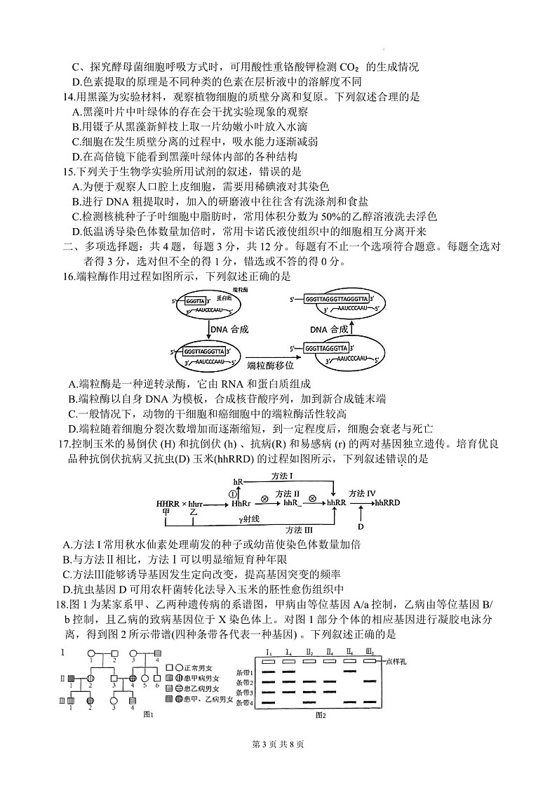 2025届江苏省徐州市高三下学期11月期中调研考-生物试卷（含答案）第3页