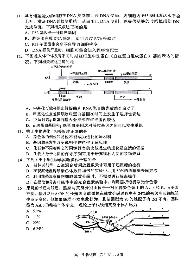 2025届江苏省盐城市高三下学期11月期中考-生物试卷（含答案）第3页