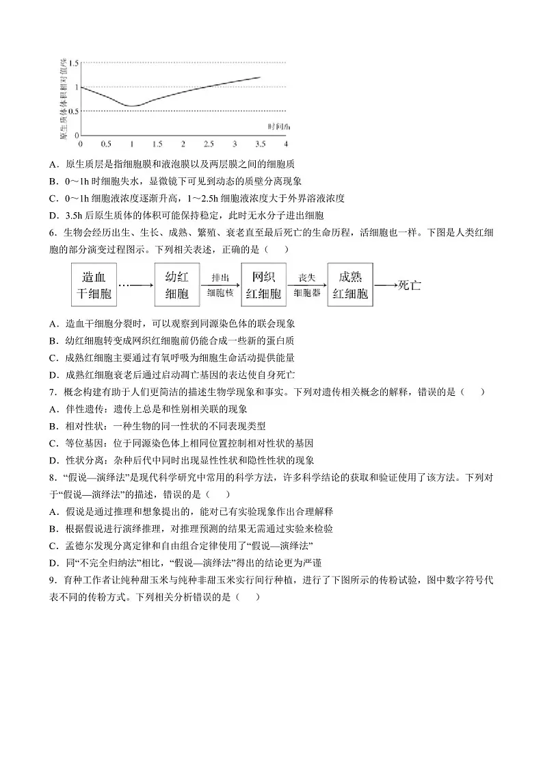 2025届江西省上进联考高三下学期11月期中调研-生物试题（含答案）第2页