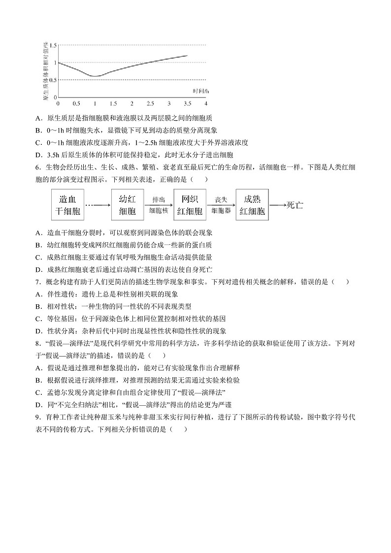 2025届江西省上进联考高三下学期11月期中调研-生物试题（含答案）第2页