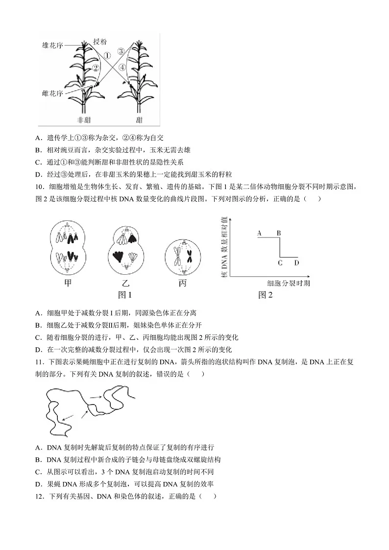 2025届江西省上进联考高三下学期11月期中调研-生物试题（含答案）第3页