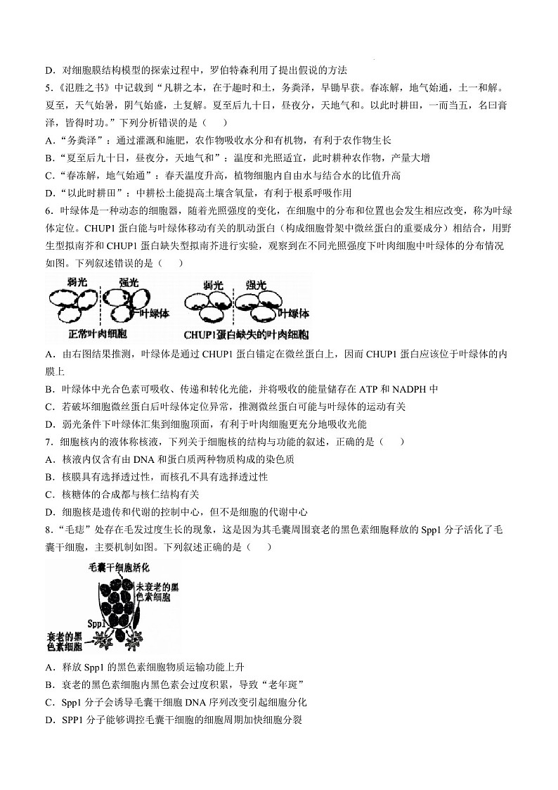 2025届辽宁省七校协作体高三下学期11月期中考-生物试题（含答案）第2页