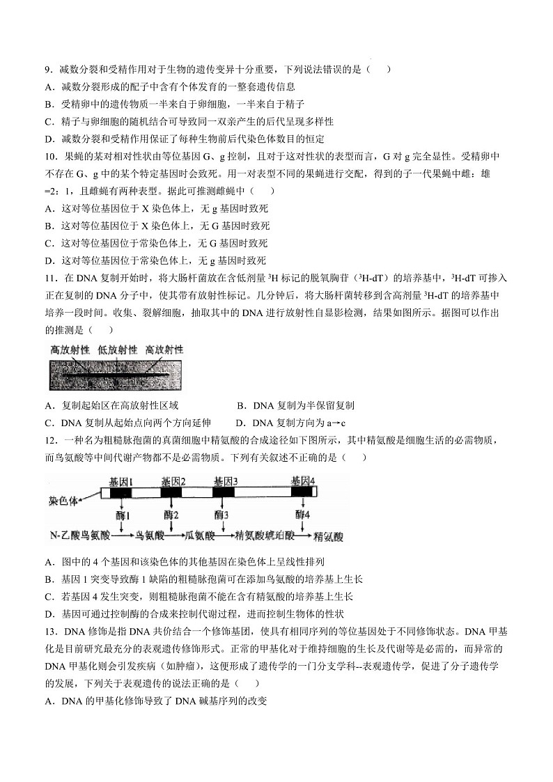 2025届辽宁省七校协作体高三下学期11月期中考-生物试题（含答案）第3页