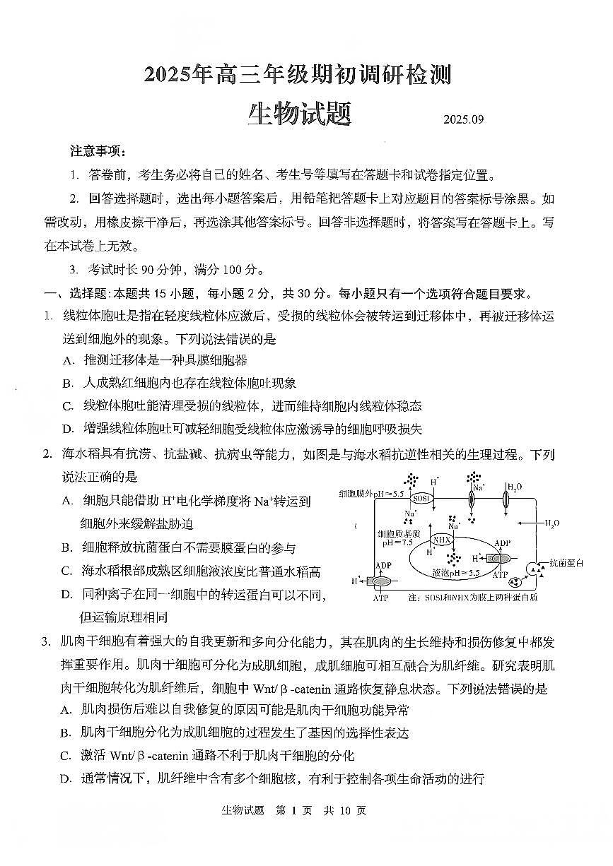 生物-山东省青岛市2025年高三年级期初调研检测（含答案）第1页