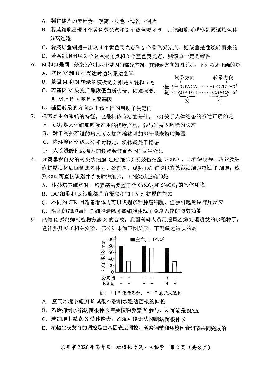 湖南省永州市2025-2026学年高考第一次模拟考试生物试卷（图片版含答案）第2页