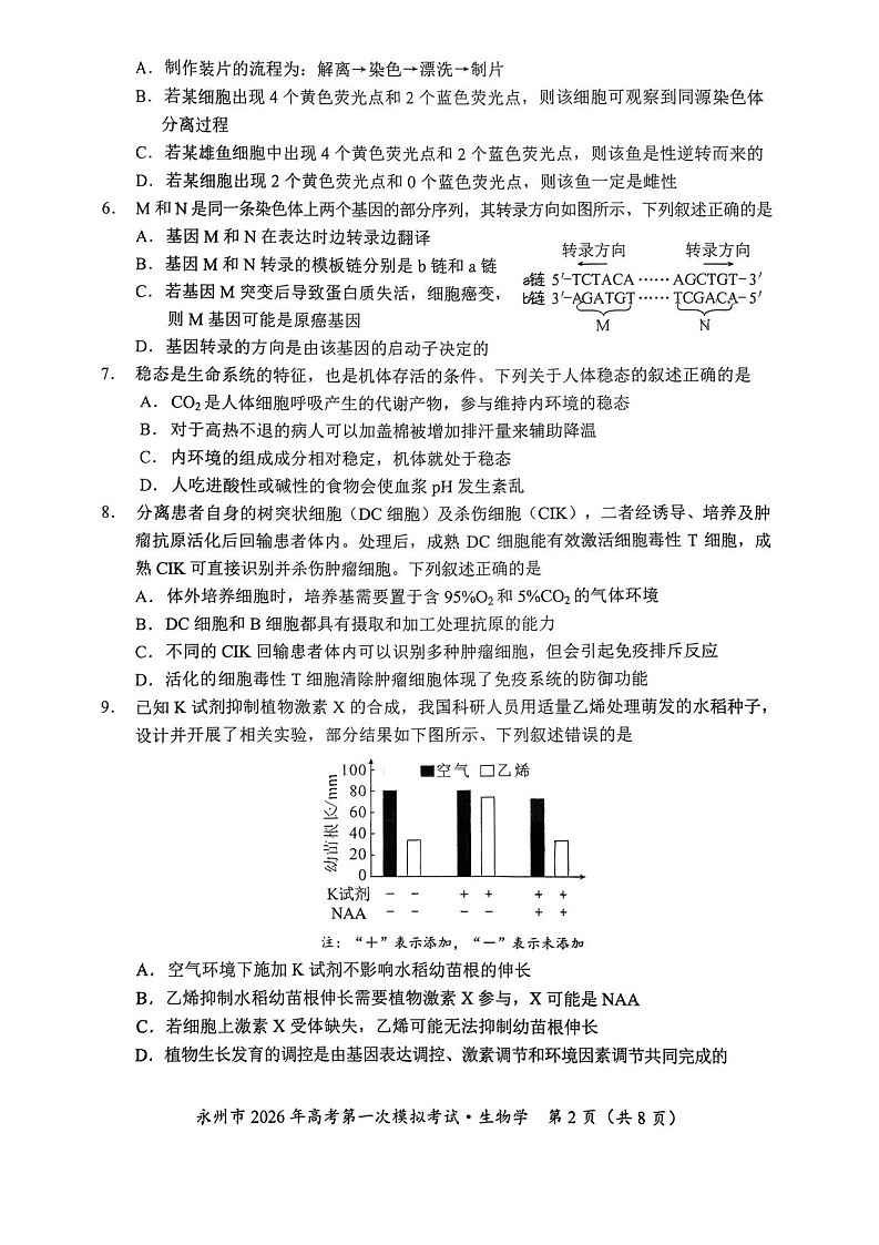 湖南省永州市2025-2026学年高三上学期高考第一次模拟考试生物试卷第2页