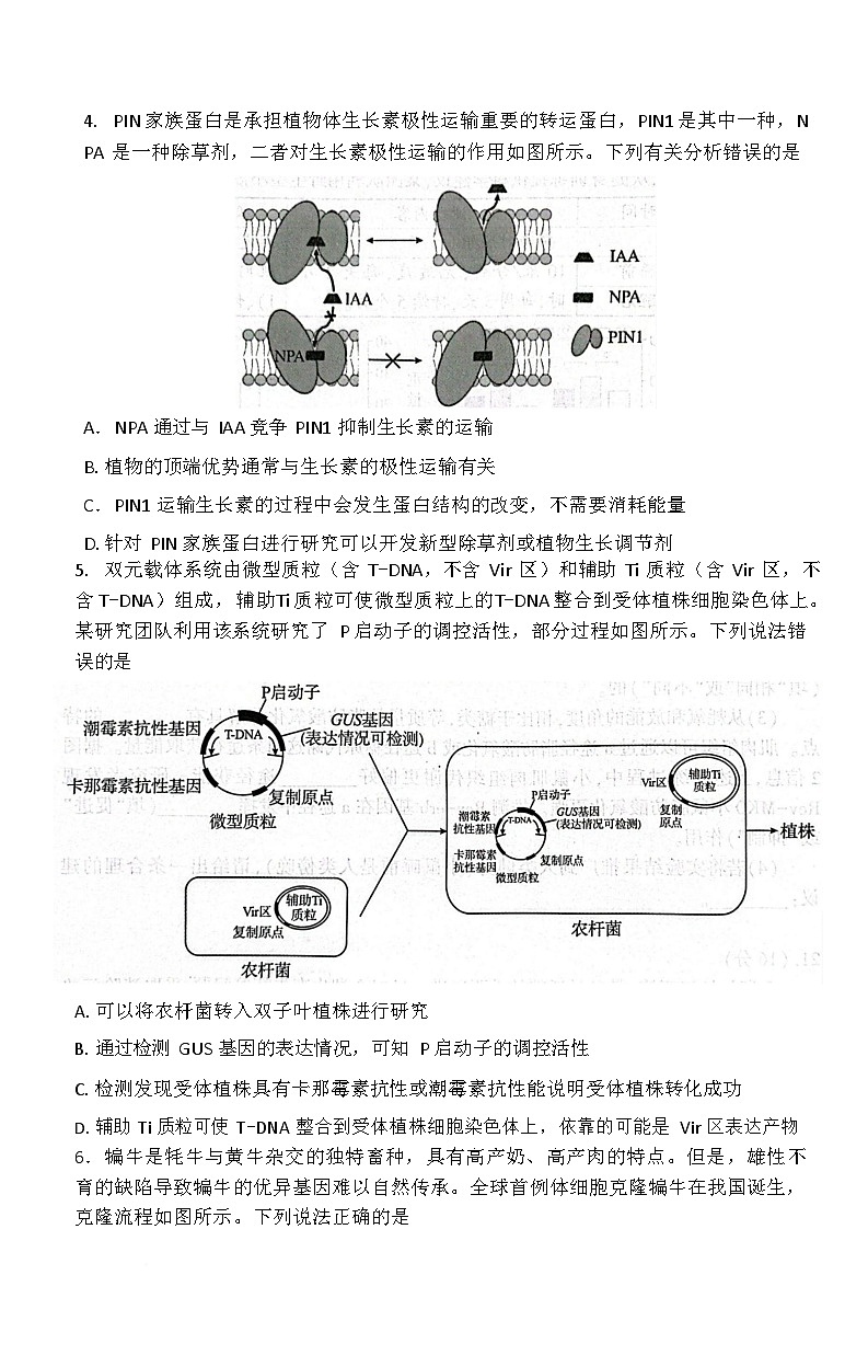 湖北省恩施州2026届高三上学期9月第一次月考考试 生物试卷第2页